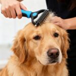 4-Piece Pet Grooming Set